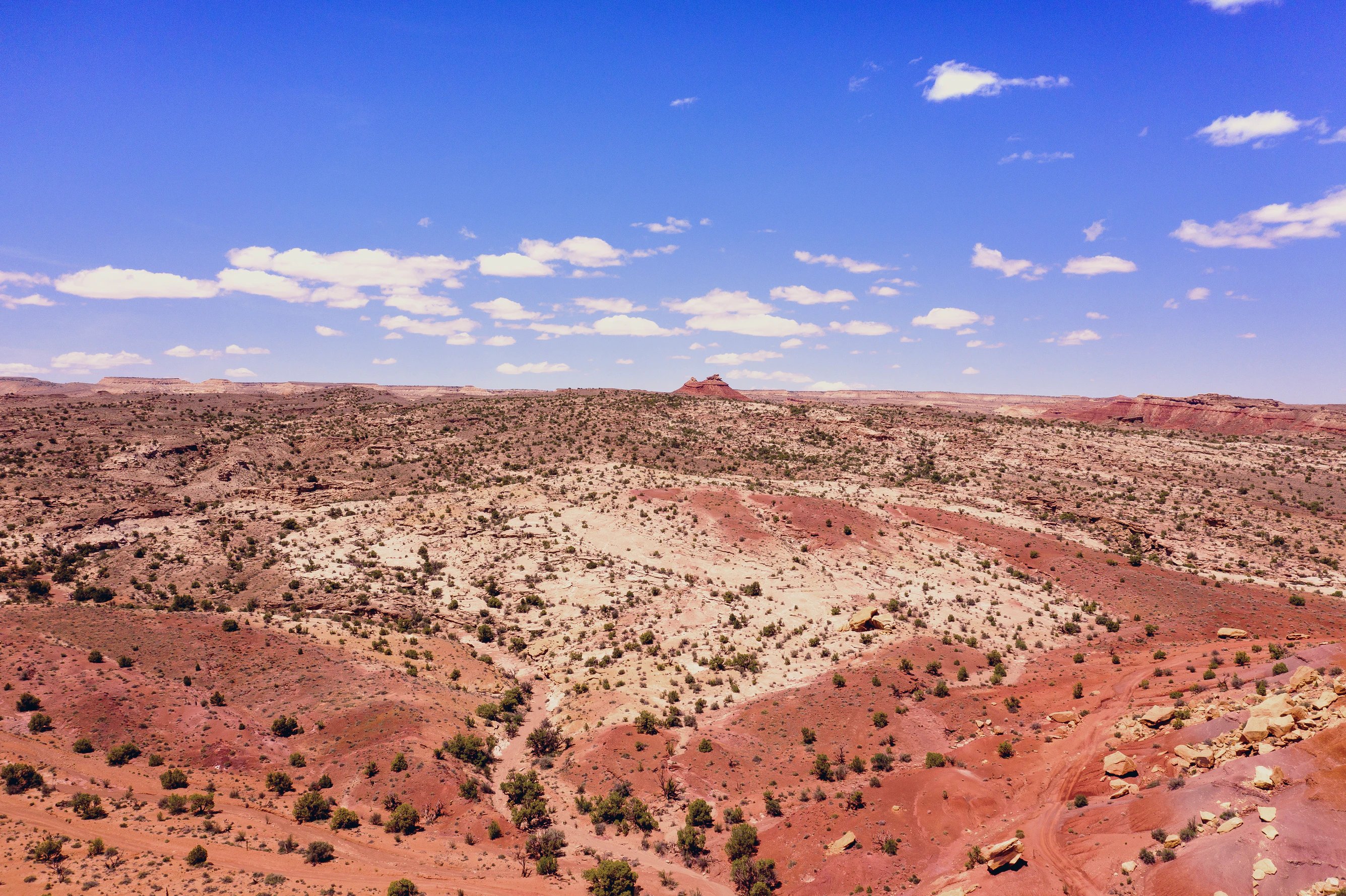 The land is turning inhabitable and not fit for farming: Image by Unsplash