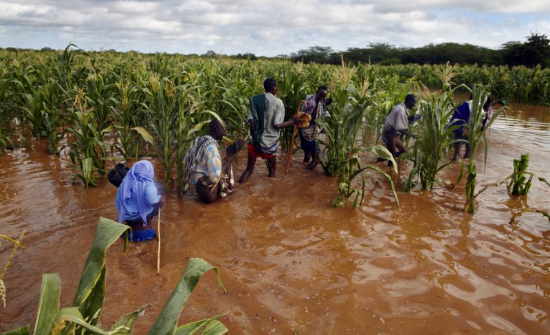 Farmers and El Nino preparedness