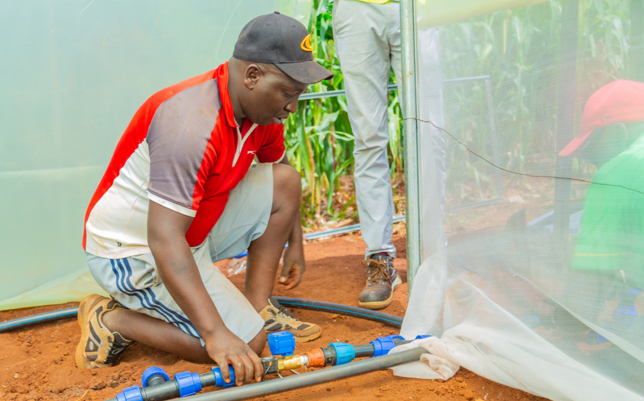 Man installing a drip irrigation kit 