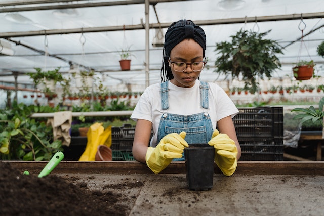 10 Ways Farmers Embrace Organic Farming in Greenhouses : Soil Testing