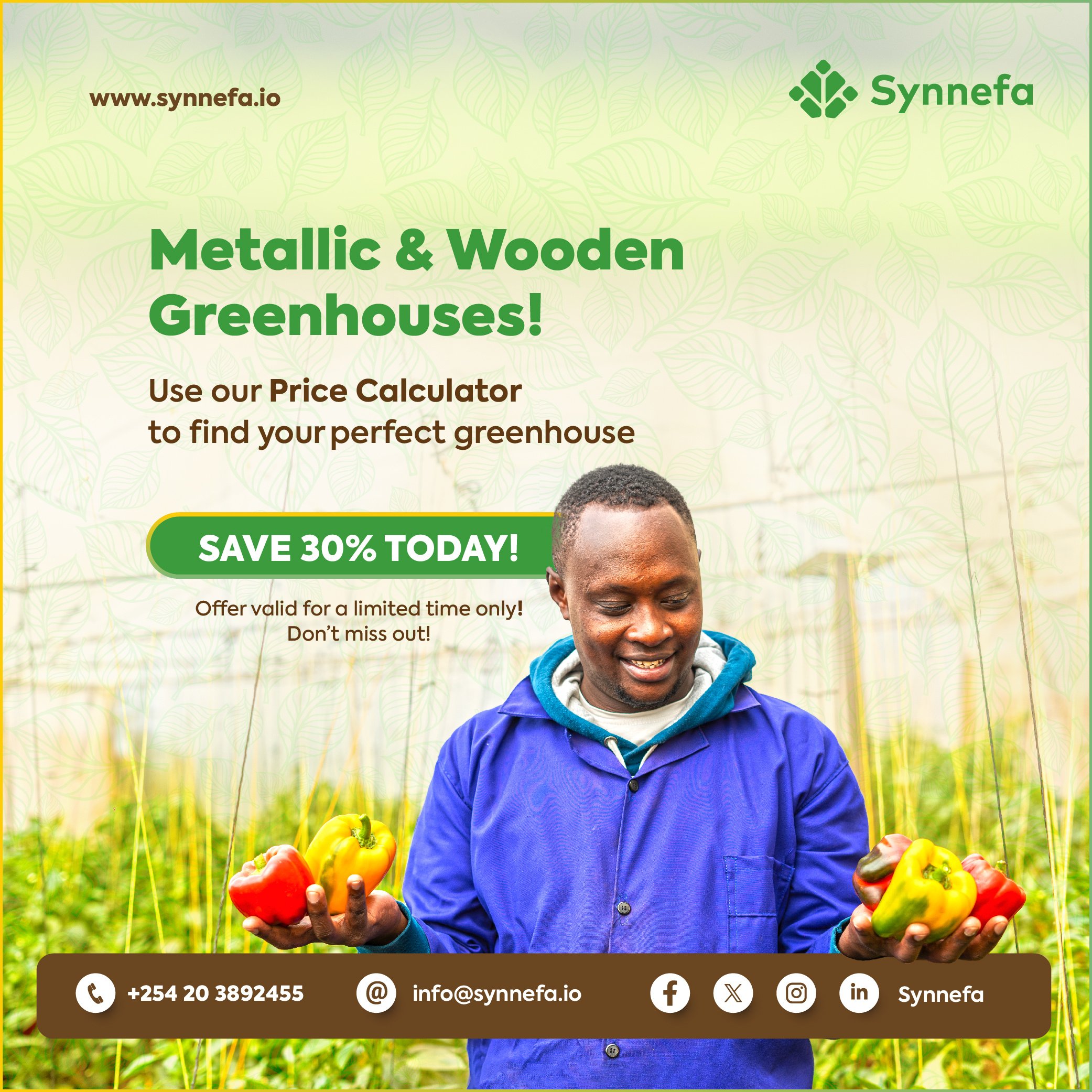 Syneffa Green House Offers