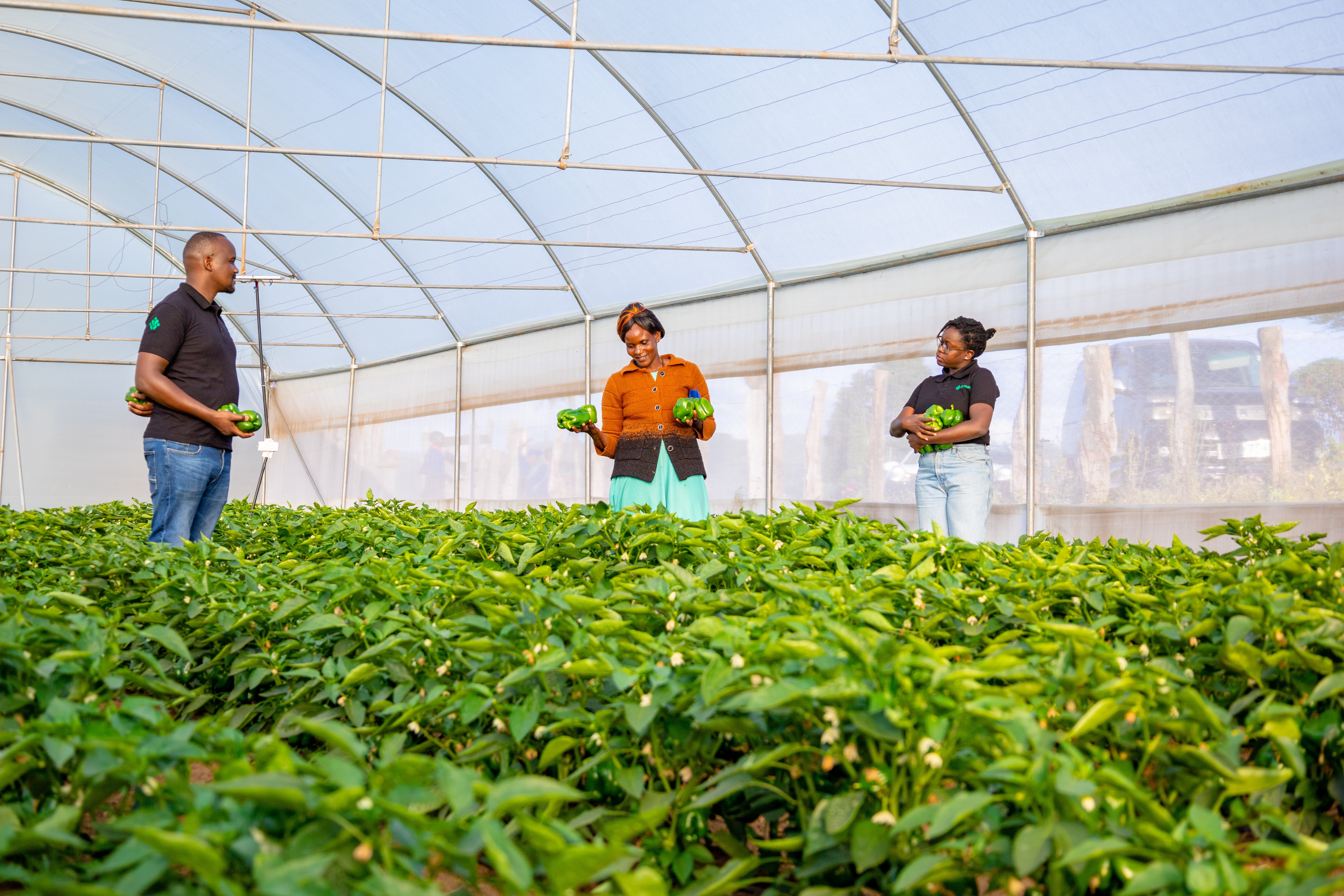 Synnefa Engineers advising a farmer