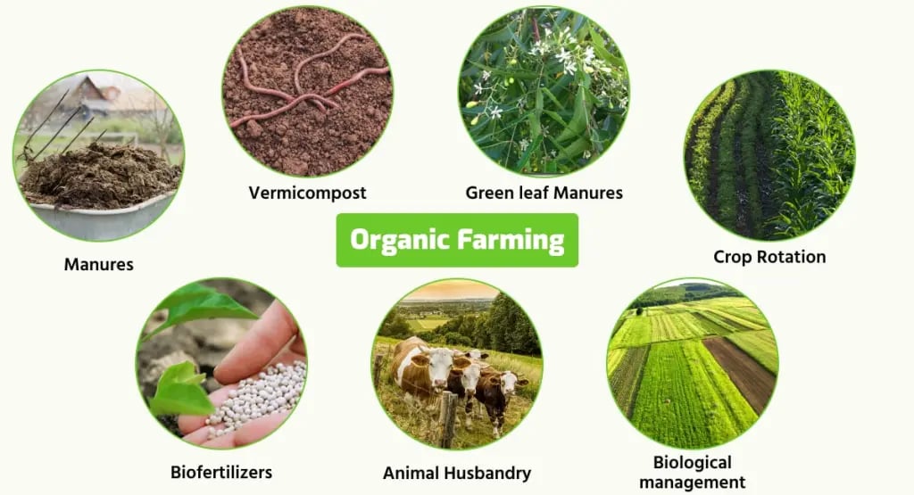 organic farming 1
