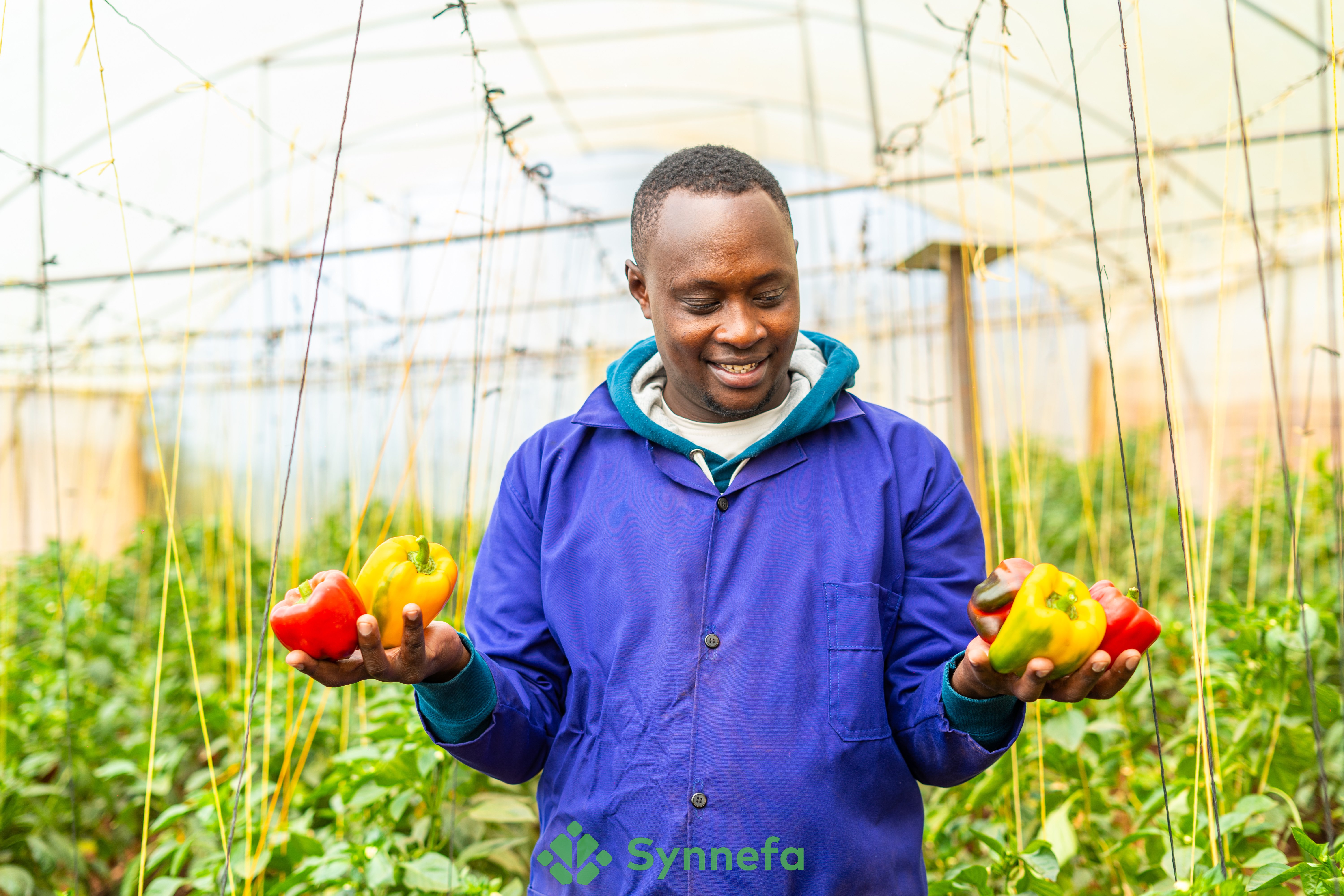 The Impact of Climate Change on Smallholder Farmers