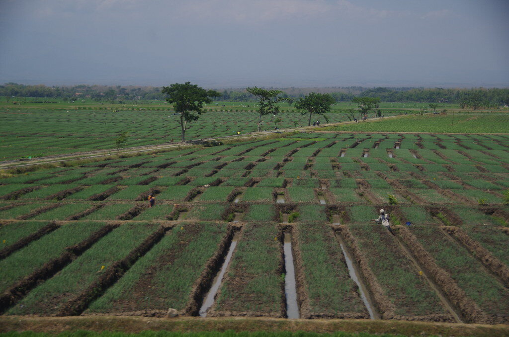 water trenches 