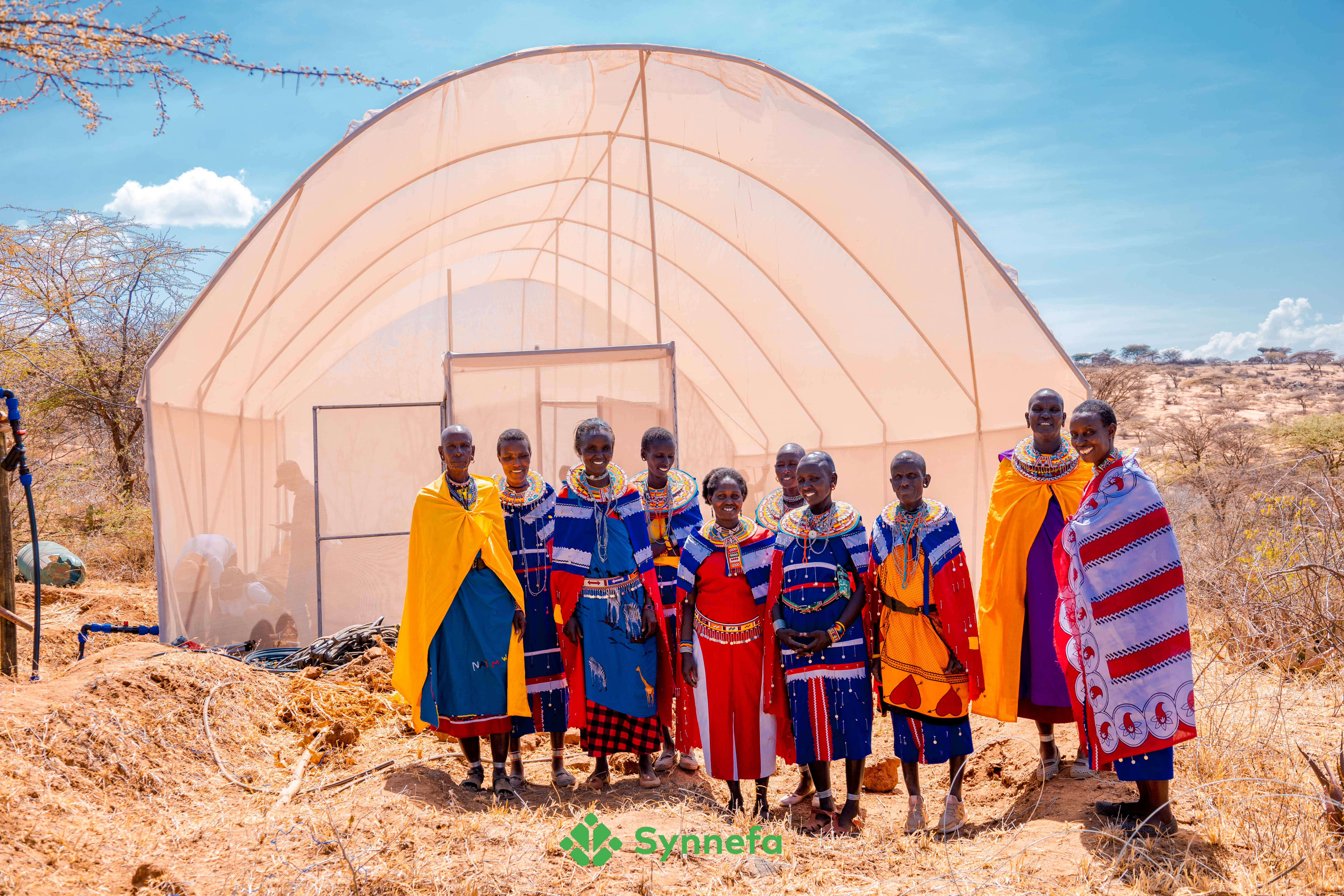 Greenhouse farming is an option to consider in order to make the most of your income and help preserve the environment at the same time.