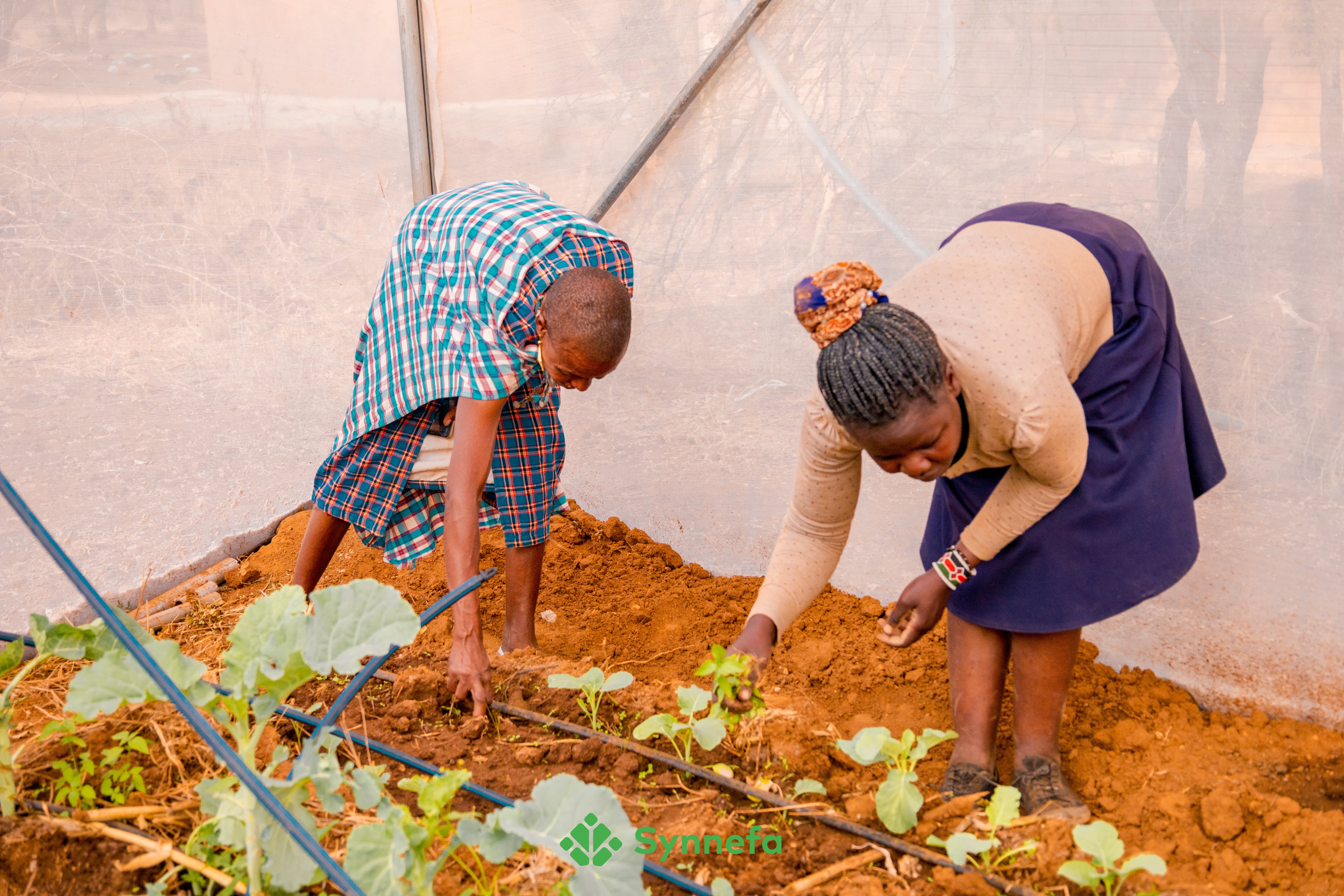 Challenges Women in Agriculture Face and How to Empower Them