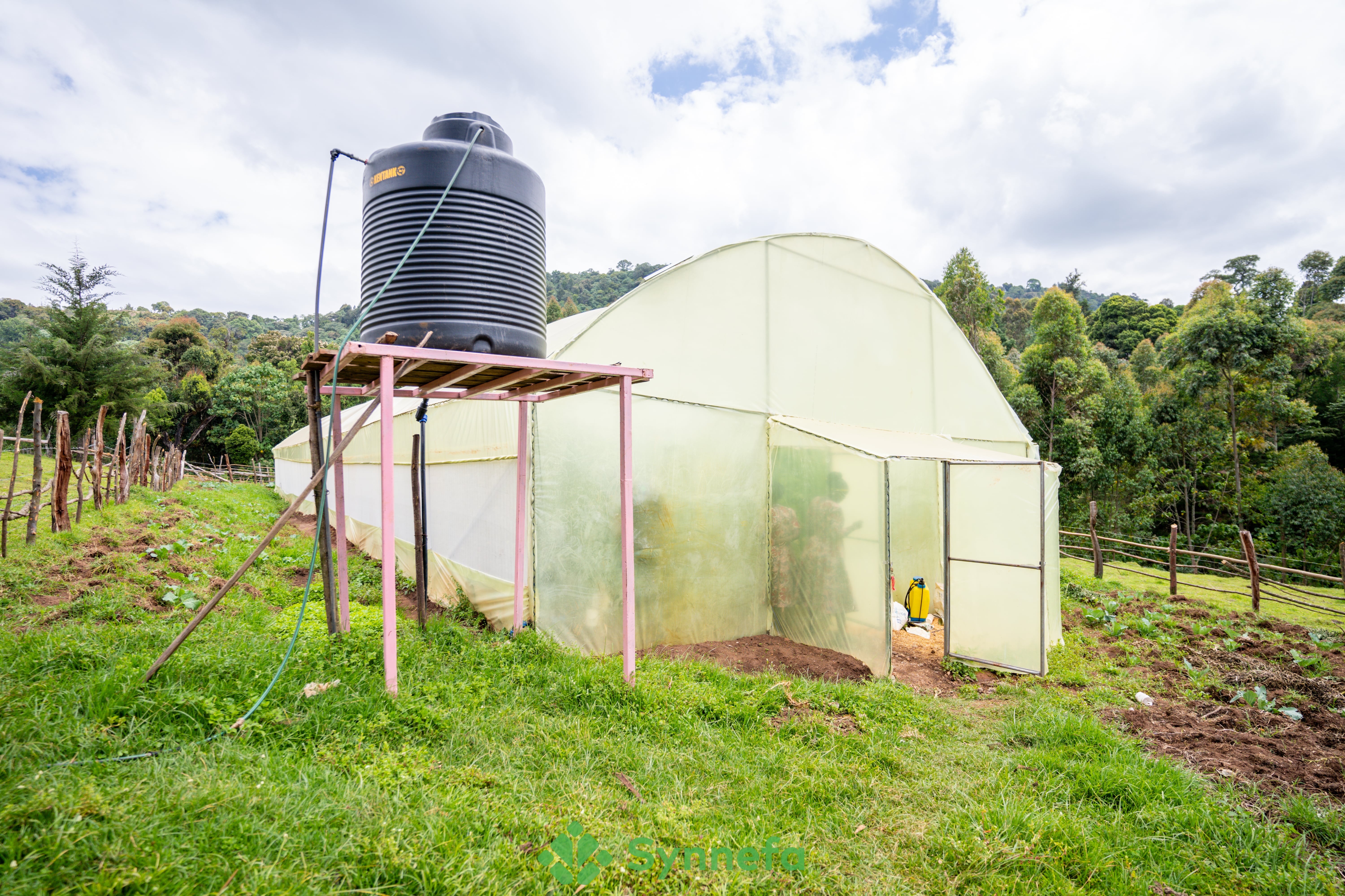 Why Greenhouse Farming is the Best Choice for Rainy Season