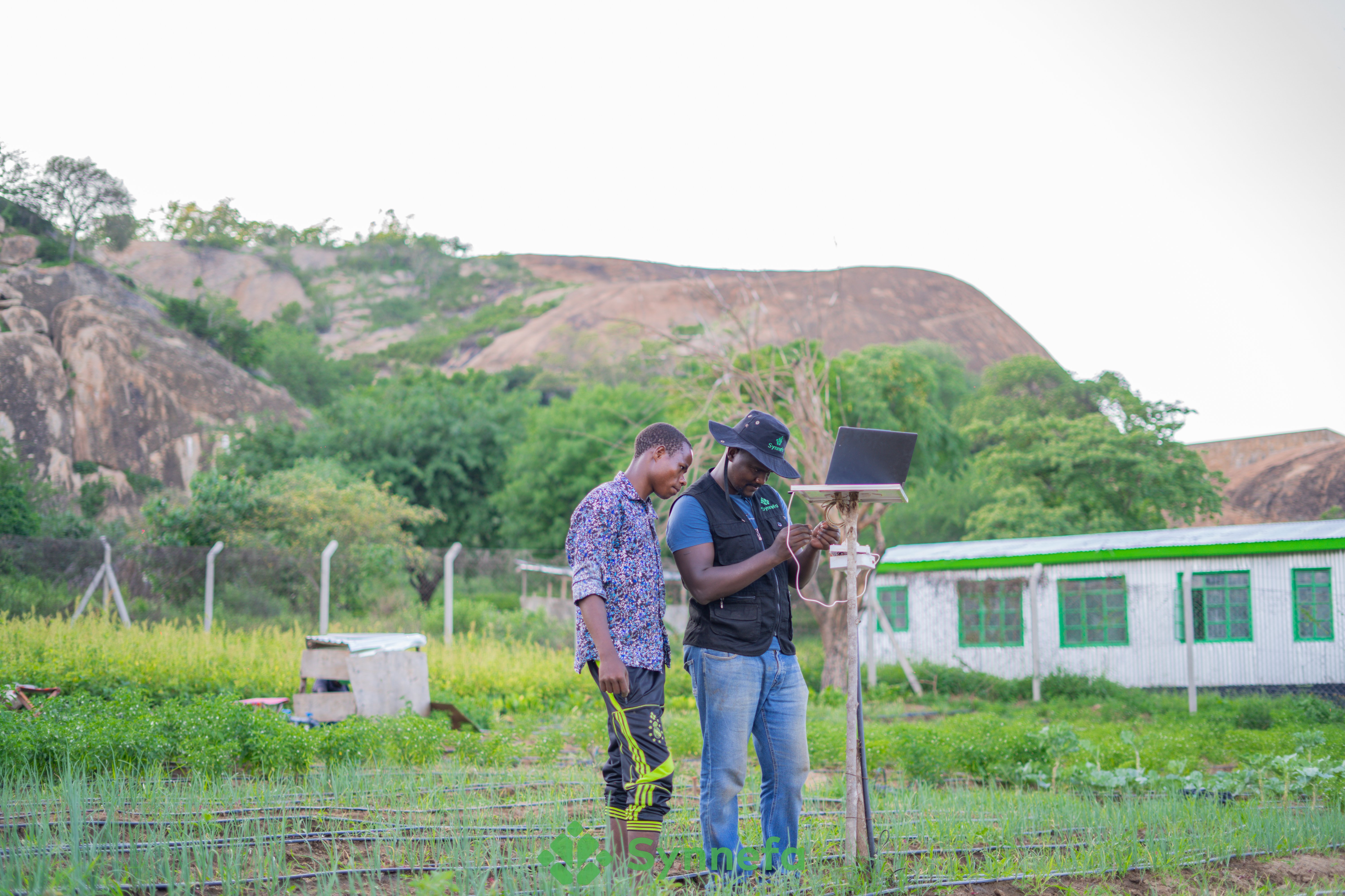 5 Ways on How to Cultivate Your Tech Talent as an African Farmer