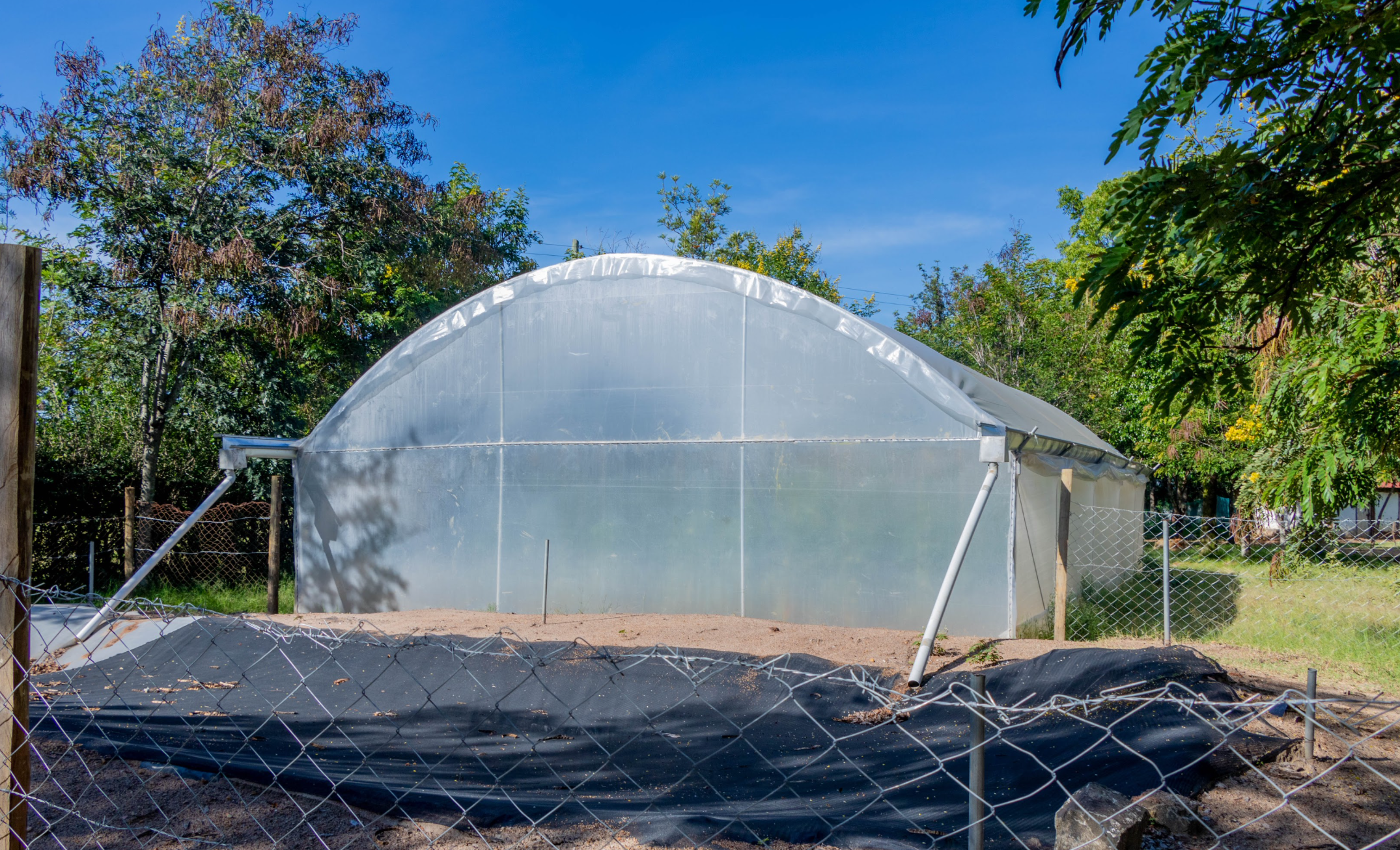 10 Ways Farmers Embrace Organic Farming in Greenhouses 