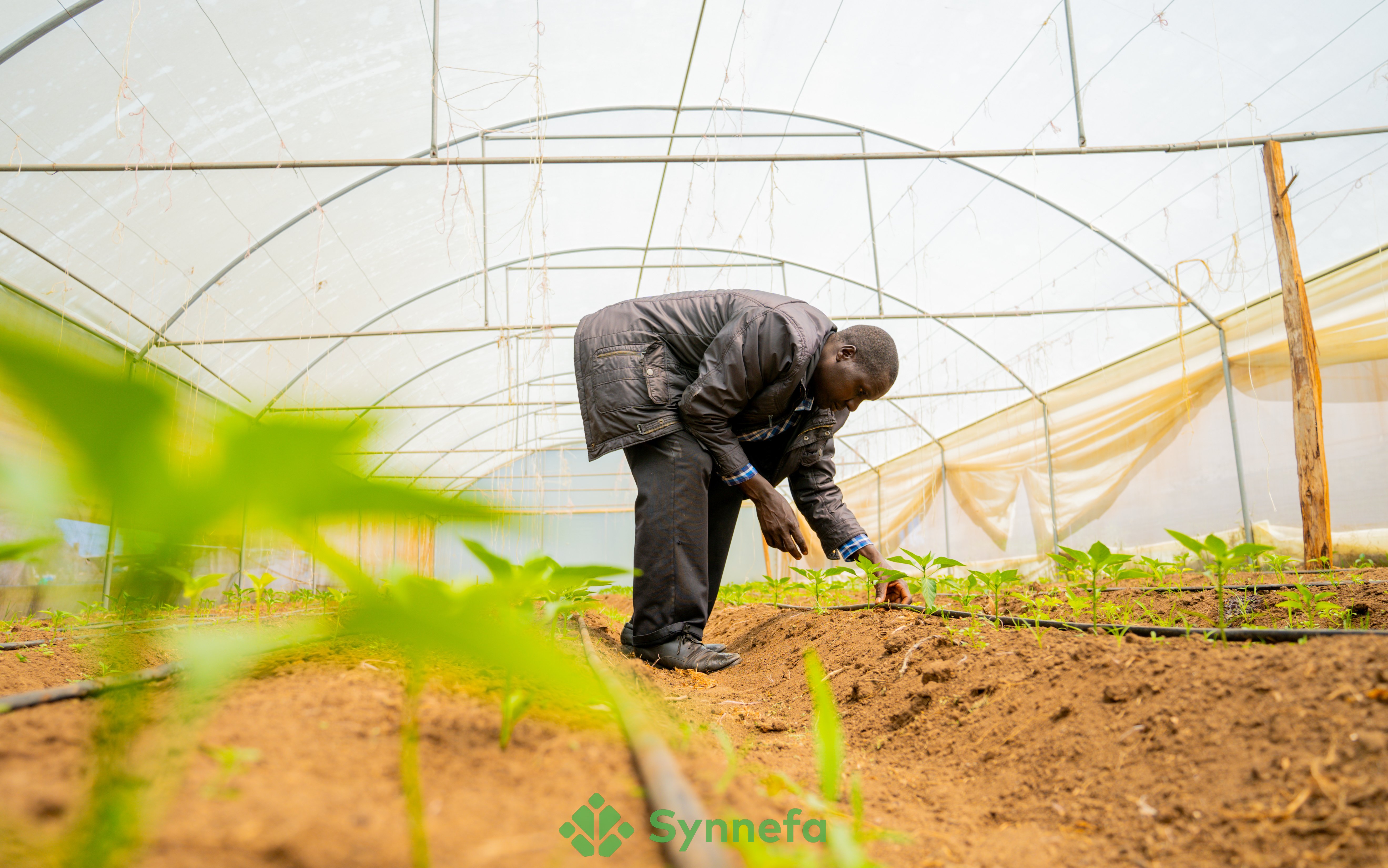 Tips to Tackle Mental Health Challenges in Farming Communities