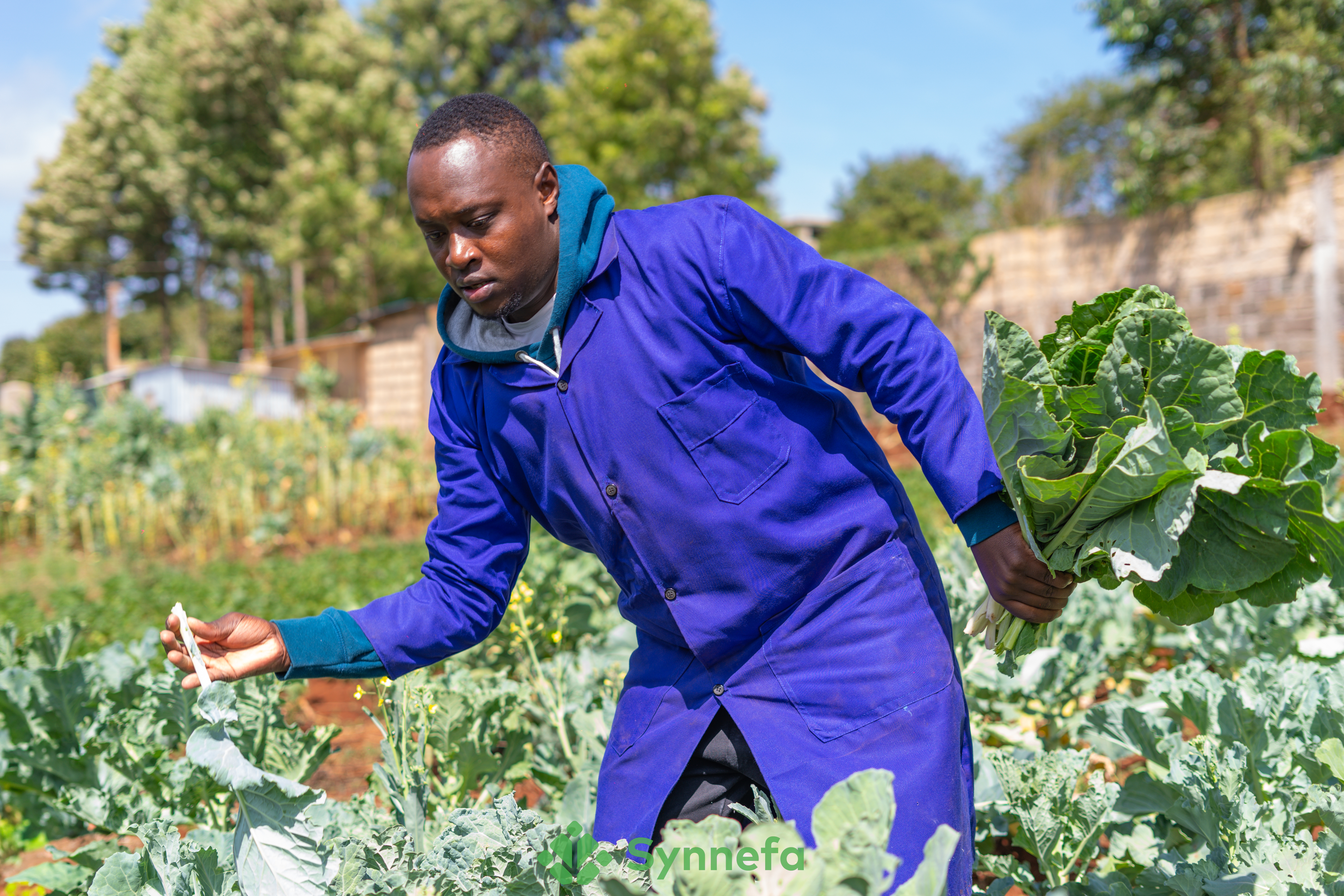 7 Essential Steps to Simplify Organic Certification for Small Farmers